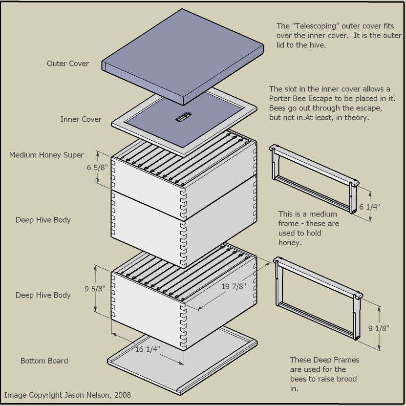 Bee Hive Boxes Dimensions